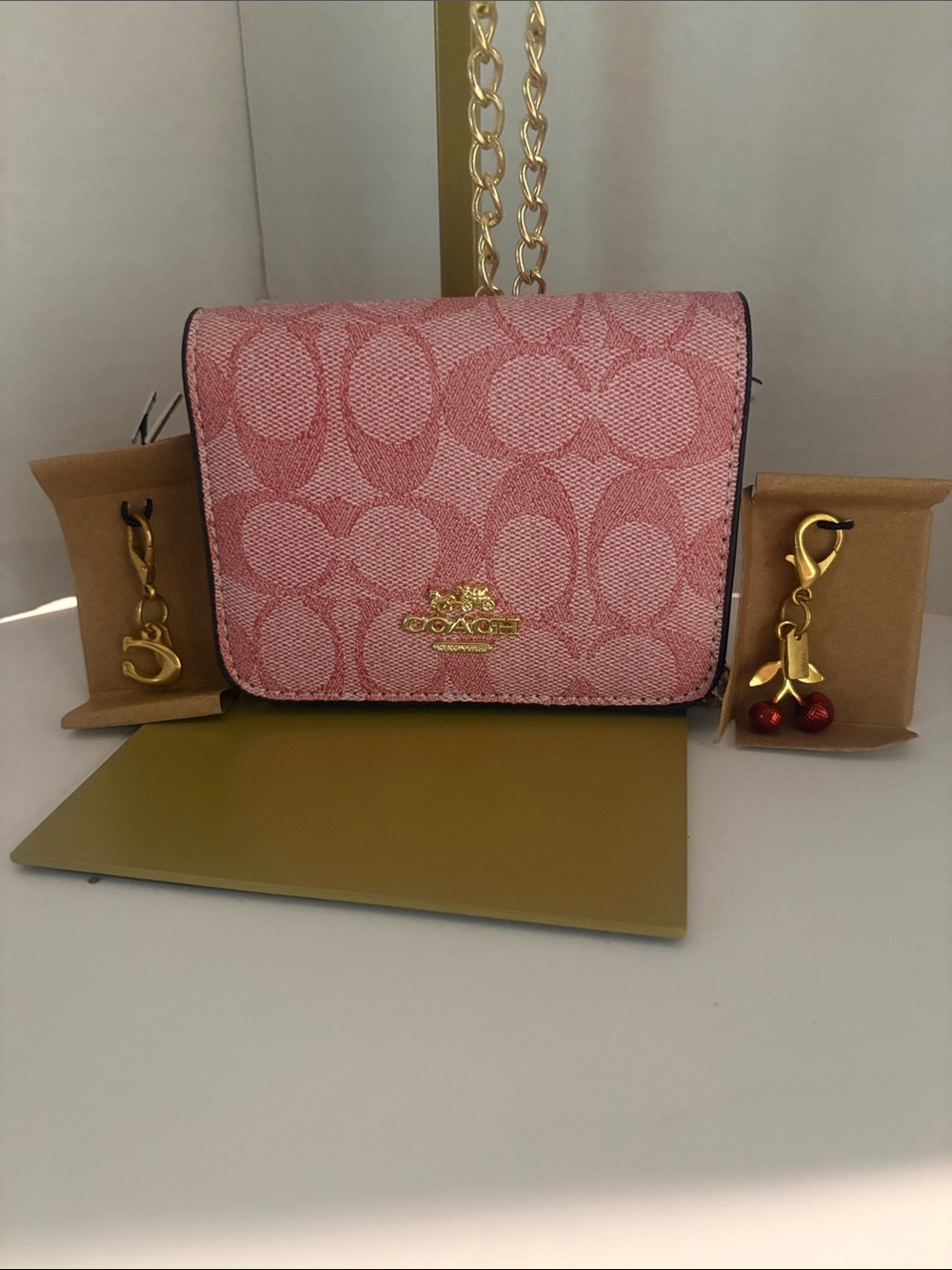 COACH Pink Signature Chain Crossbody Wallet with Gold Hardware with 2 charms